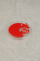 「〈怠惰の罪〉特製丸台座」