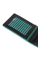 宜野座伸元モデルのパスケース。