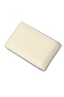 槙島聖護モデルのパスケース。