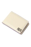 槙島聖護モデルのパスケース。