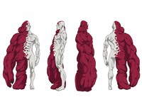 アトラ（CV：黒田崇矢）