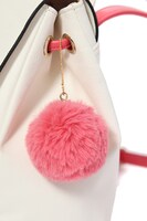 トキモデルのバッグ。