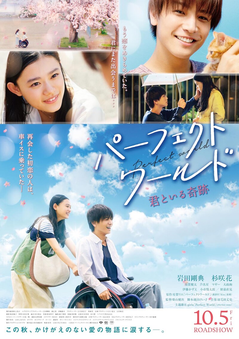 「パーフェクトワールド君といる奇跡」ポスタービジュアル