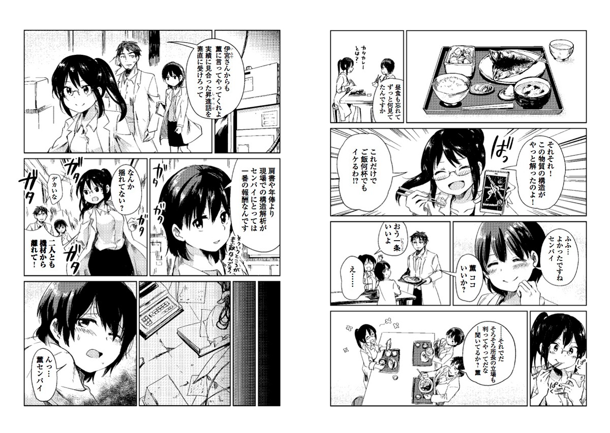 「元構造解析研究者の異世界冒険譚」より。