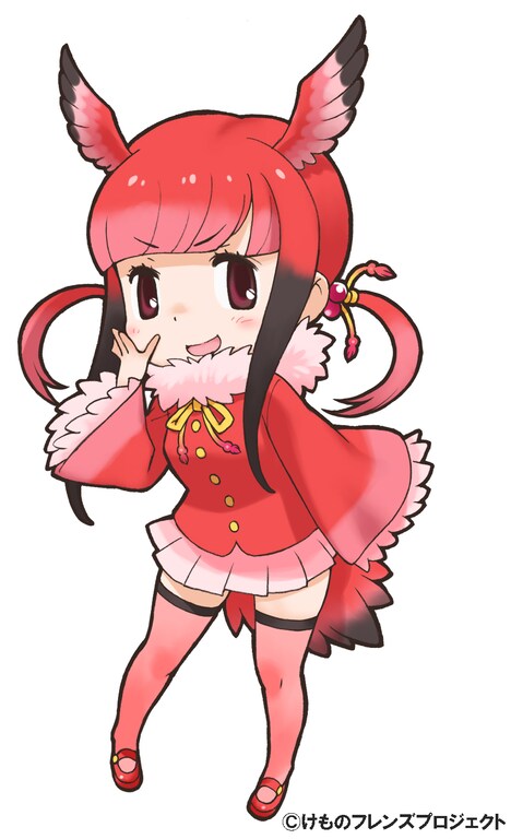 ショウジョウトキ