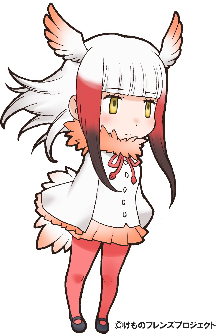 トキ