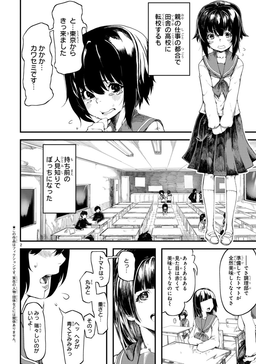 「カワセミさんの釣りごはん」より。