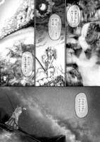 「カワセミさんの釣りごはん」より。