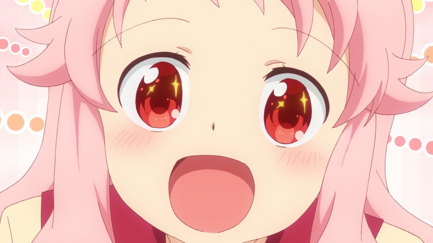 テレビアニメ「アニマエール！」より。