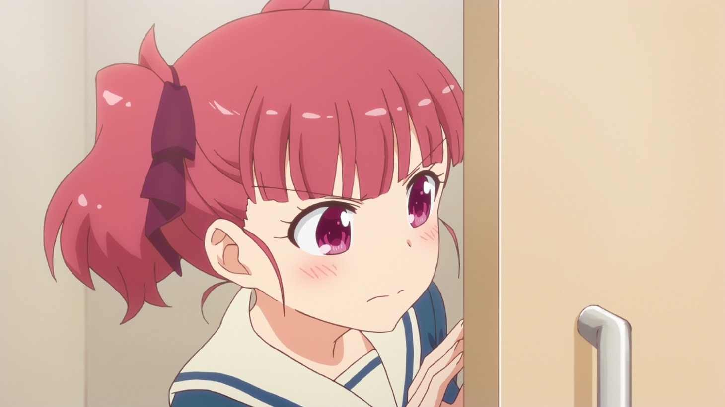 テレビアニメ「アニマエール！」より。