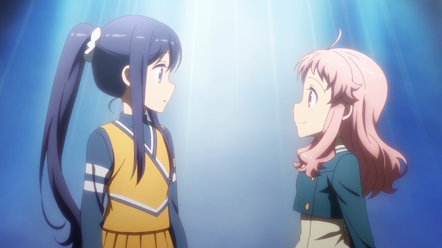 テレビアニメ「アニマエール！」より。