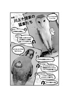 「美女と奇妙なメンフクロウ」より。