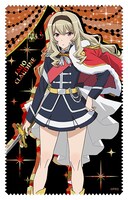 西條クロディーヌのクリーナークロス。