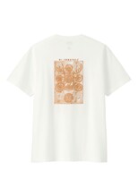 「ジャンプ50thグラフィック T」（「NARUTO-ナルト-」）(c)岸本斉史 スコット/集英社