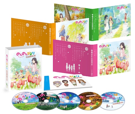 「のんのんびより にゃんぱすぼっくす」収録物の展開図。