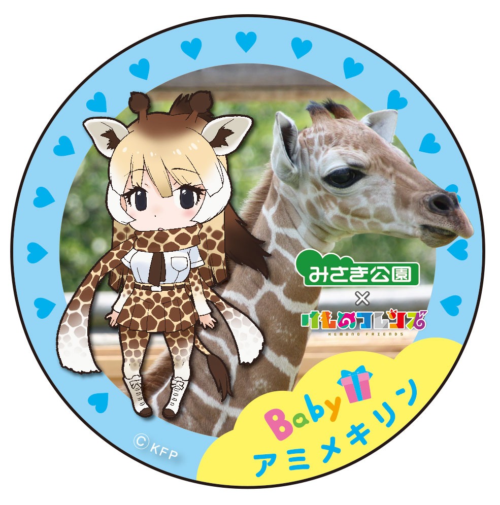 アミメキリンの缶バッジ。