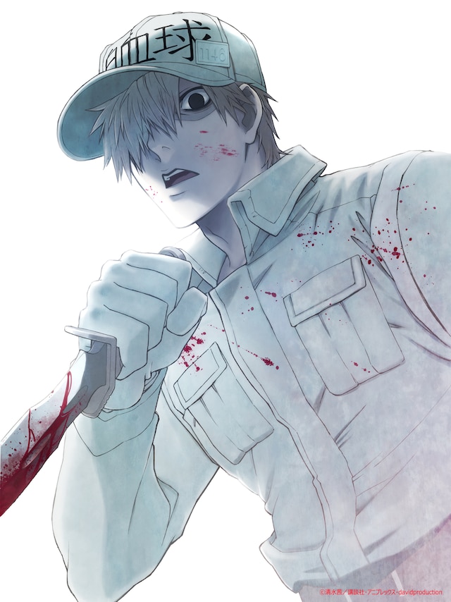 アニメ「はたらく細胞」Blu-ray / DVD1巻のジャケットイラスト。