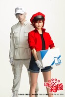 「体内活劇『はたらく細胞』」ビジュアル第1弾