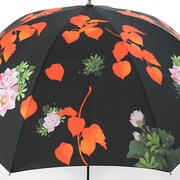 幼馴染（鬼灯、烏頭、蓬、お香）モデルの傘。