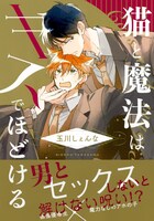 「猫と魔法はキスでほどける」帯付き