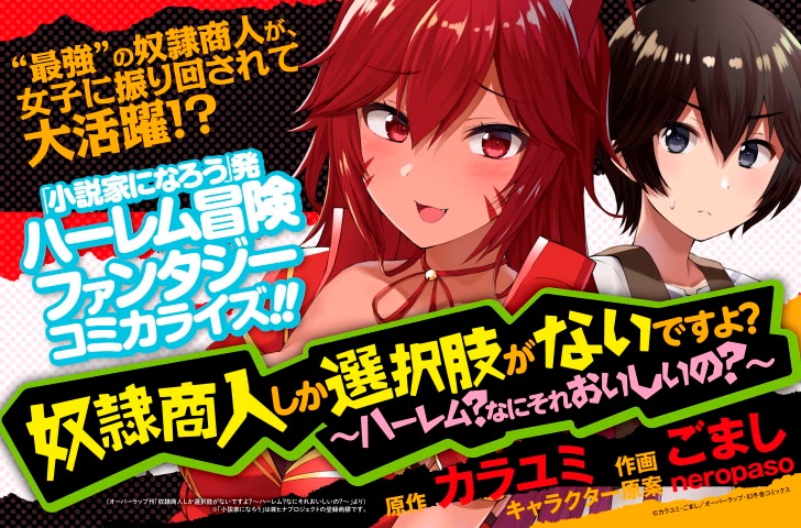 7月25日から31日に登録された作品で、アクセス上位だった「奴隷商人しか選択肢がないですよ？～ハーレム？なにそれおいしいの？～」のビジュアル。