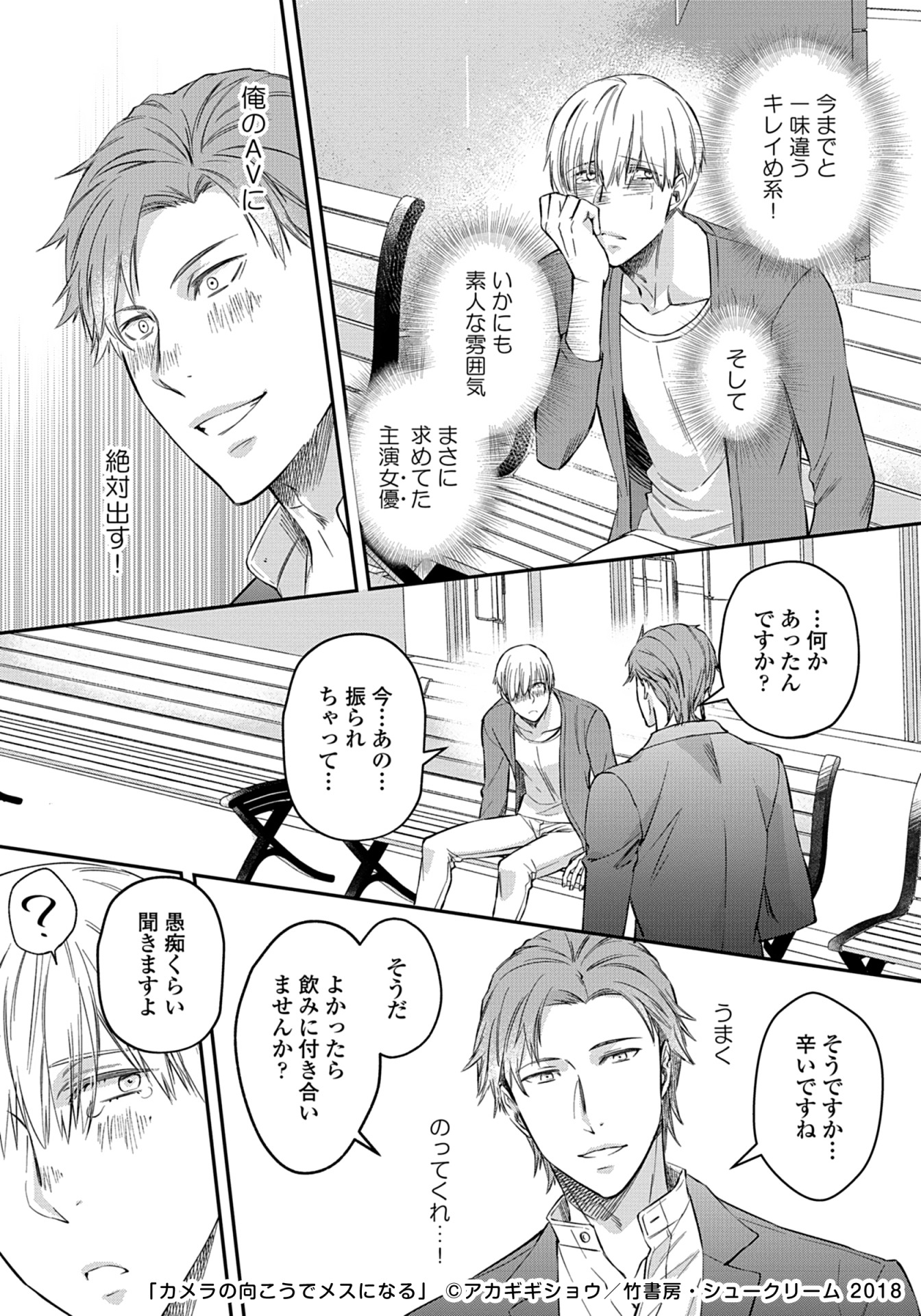 「カメラの向こうでメスになる」より