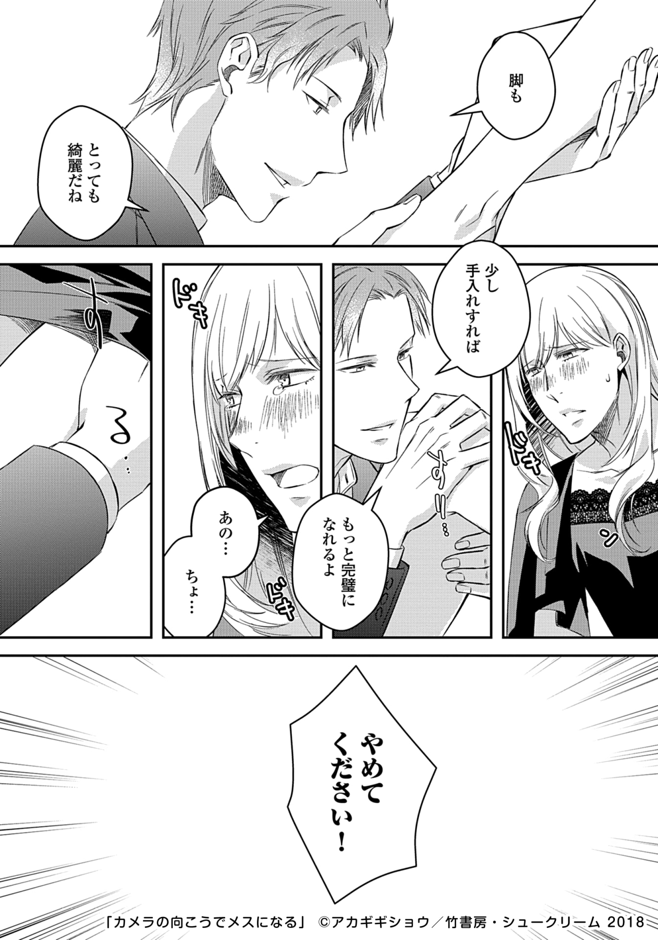 「カメラの向こうでメスになる」より