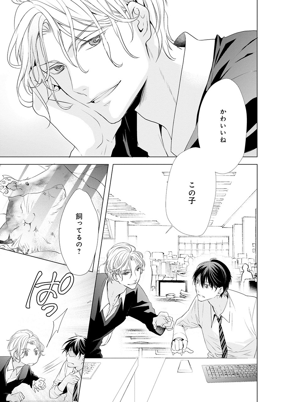 「猫かわいがりは禁止です」より。