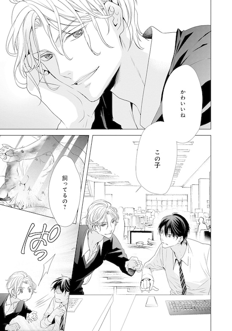 「猫かわいがりは禁止です」より。