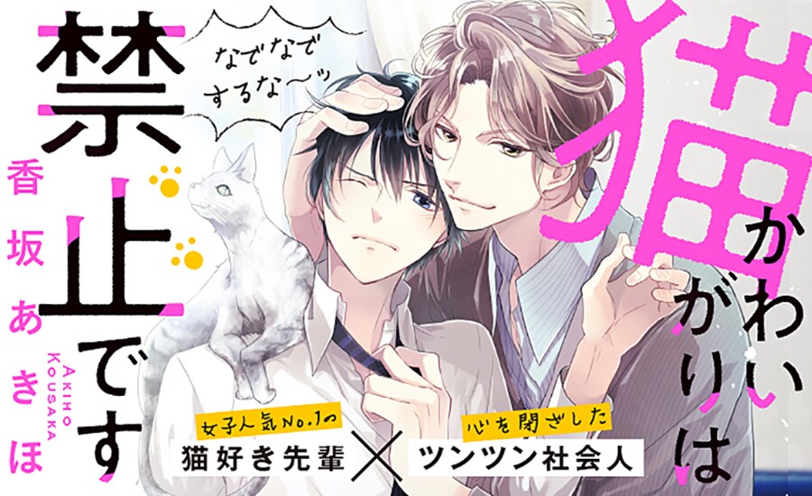 「猫かわいがりは禁止です」