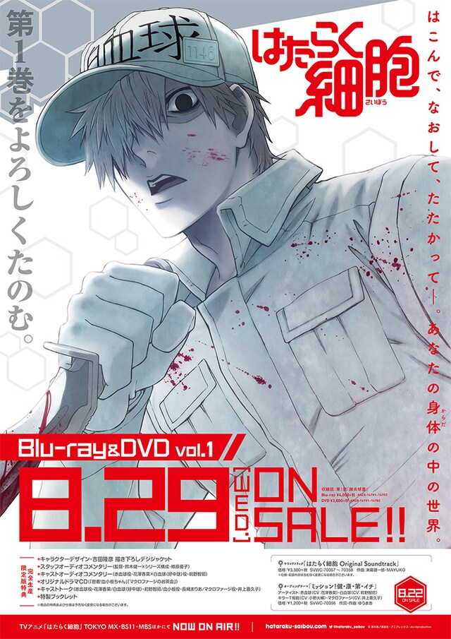 アニメ「はたらく細胞」Blu-ray / DVD1巻パッケージポスター。