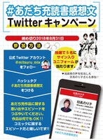 Twitterキャンペーンの詳細。