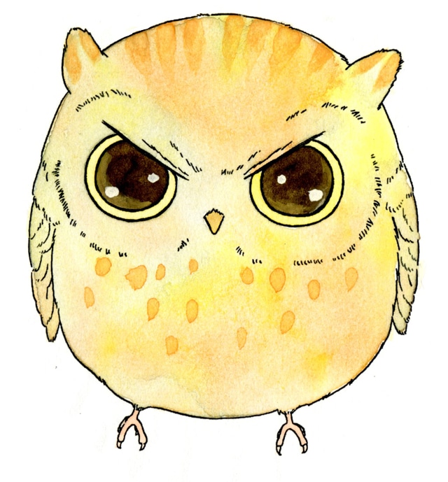 コノハズク
