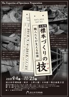 企画展「標本づくりの技（ワザ）－職人たちが支える科博－」チラシの表面。