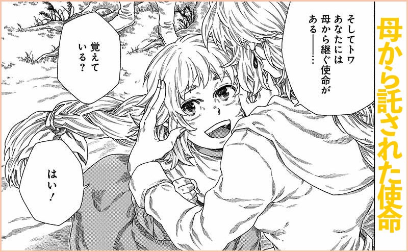 「終わりの国のトワ」の作品紹介。