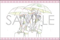 「カードキャプターさくら クリアカード編」特典ポストカード (c)CLAMP・ST/講談社・NEP・NHK