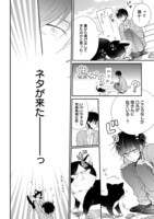 「同居人はひざ、時々、頭のうえ。」第1話より。