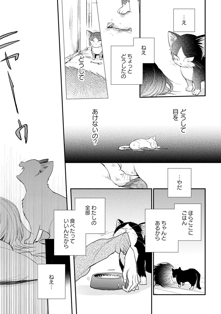 「同居人はひざ、時々、頭のうえ。」第1話より。
