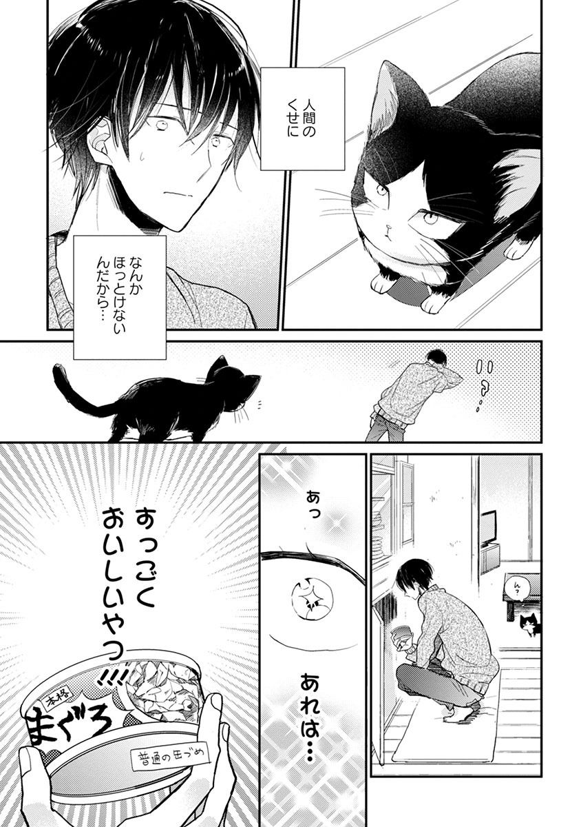 「同居人はひざ、時々、頭のうえ。」第1話より。