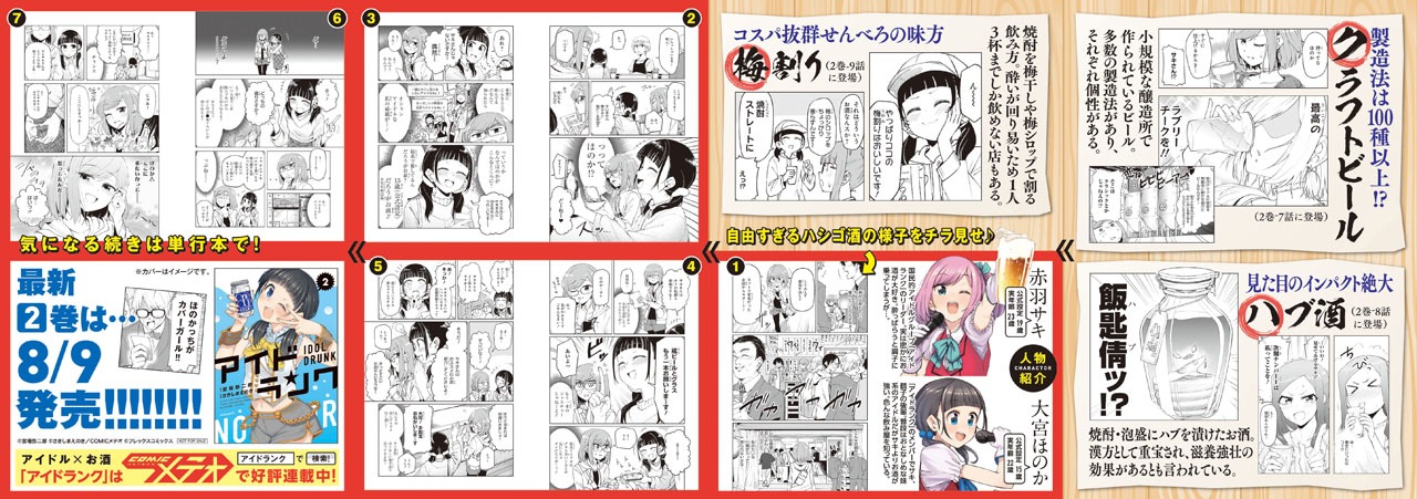 「アイドランク」2巻のチラシ。