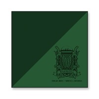 会場販売グッズのミニタオル。