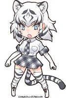 ホワイトタイガー