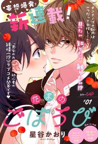 「たまのごほうび」第1話の扉ページ。