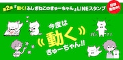 「ふしぎねこのきゅーちゃん」のLINEスタンプ。
