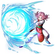 「［霊光波動拳の達人］幻海」