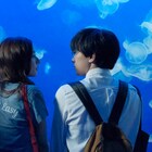 「あのコの、トリコ。」吉沢亮&新木優子の江の島デート写真、水族館コラボも