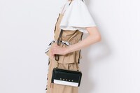 流星隊モデルの使用例。