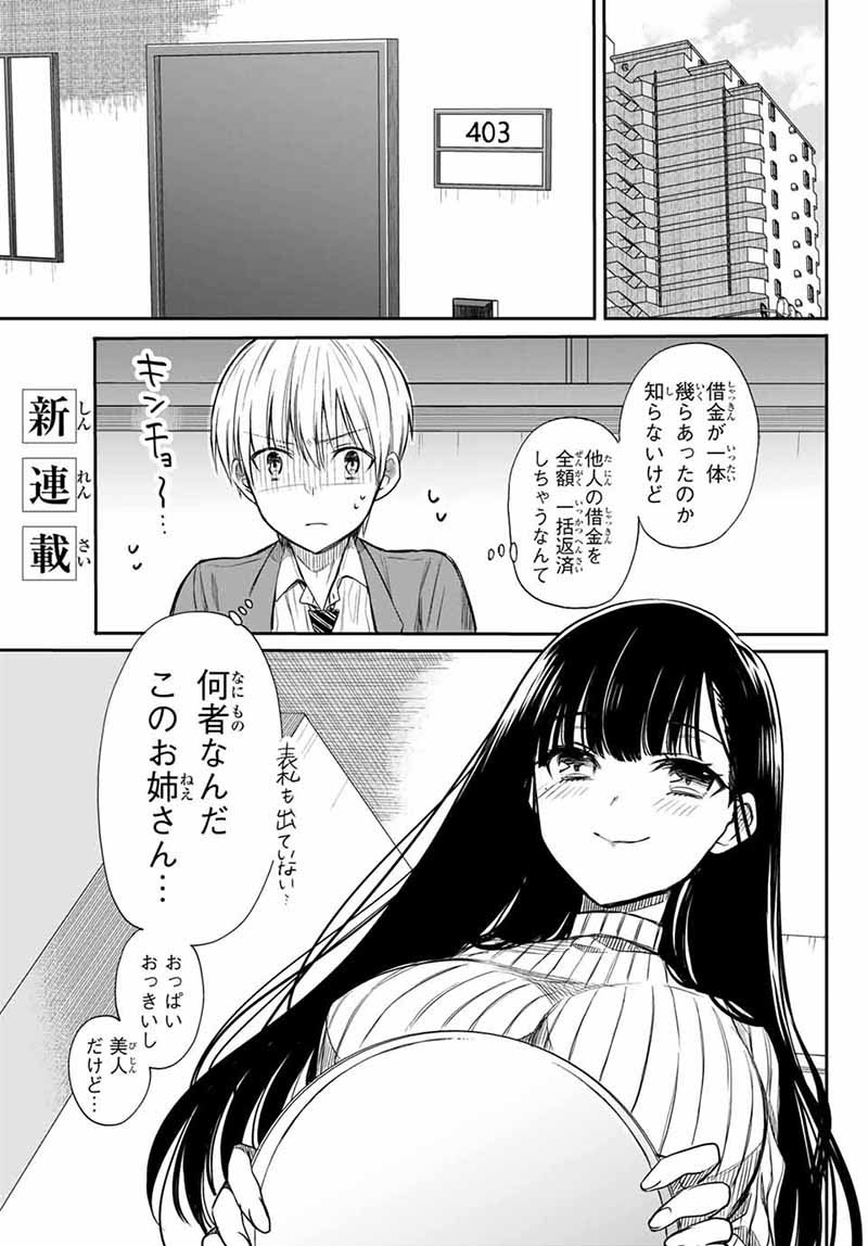 男子高校生を養いたいお姉さんの話1〜8巻 コミック】男子高校生を養いたいお姉さんの話（全13巻