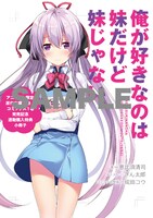 アニメイト特典の小冊子。