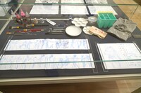 「ジョジョリロン」より。(c)荒木飛呂彦＆LUCKY LAND COMMUNICATIONS／集英社